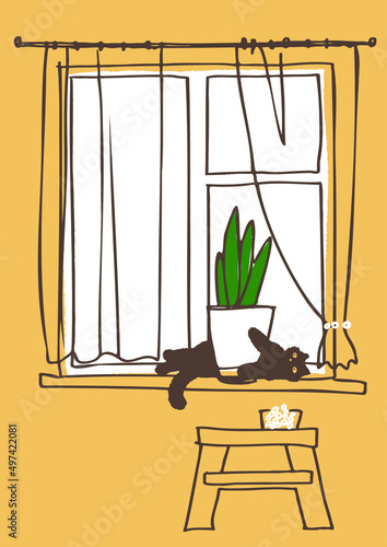 Cat and houseplant on the windowsill