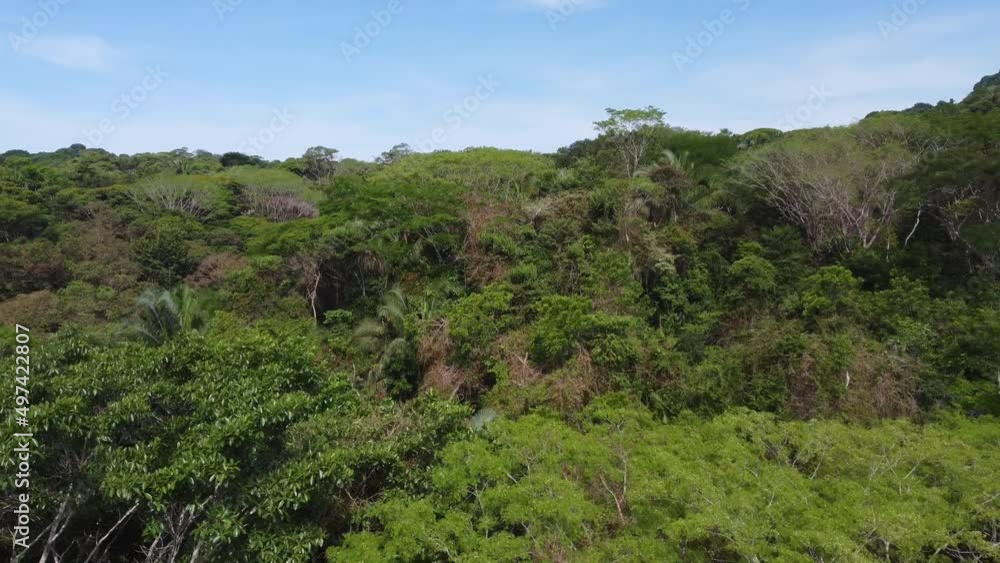 Drone low flight over jungle canopy in Uvita Costa Rica Drone low flight over jungle canopy in Uvita Costa Rica