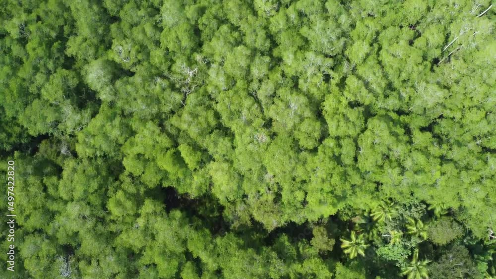 This beautiful tilting drone shot of Whales Tail beach in Costa Rica shows off just how close to the jungle the beach lies. This beautiful tilting drone shot of Whales Tail beach in Costa Rica shows off just how close to the jungle the beach lies.