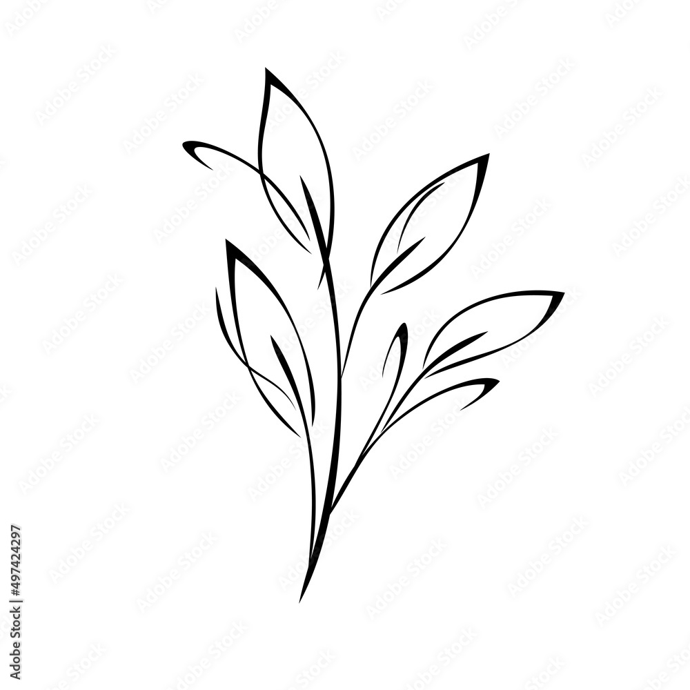 ornament 2268. stylized twig with leaves in black lines on a white background ornament 2268. stylized twig with leaves in black lines on a white background