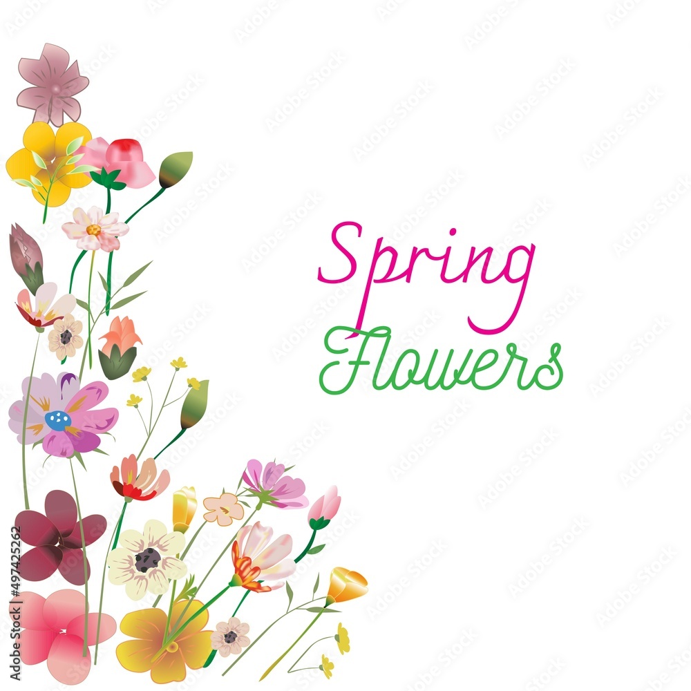 Floral Spring Flowers Decorative Frame and Border Background 
