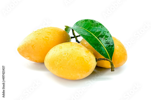 Marian Plum, Plum Mango, yellow fresh fruit and green leaf. Summer fruit with a sweet and sour taste. isolated on white background. photo