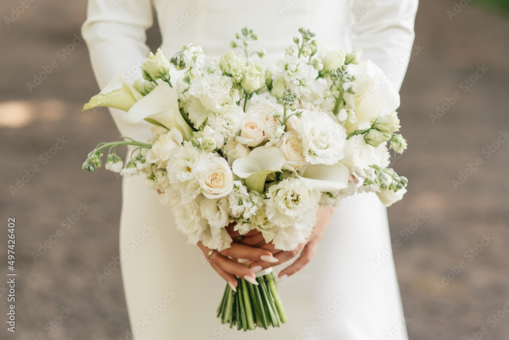 A luxurious wedding bouquet with white roses, carnations and koalas in the hands of the bride