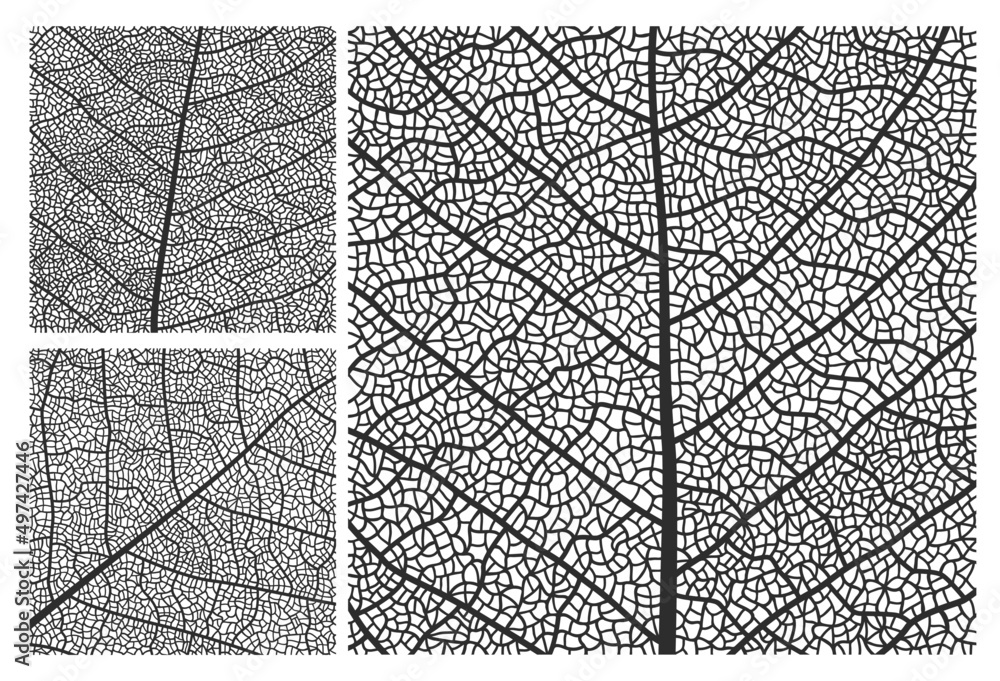 Leaf texture pattern background with veins and cells. Vector closeup plant leaf pattern set with monochrome ornaments of maple, birch or walnut tree leaves mosaic structure, nature abstract backdrop