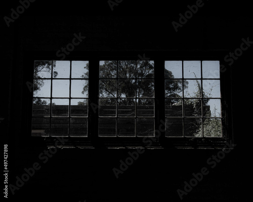 Window in the Dark