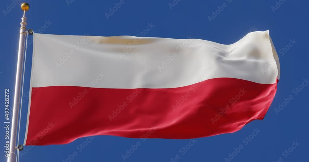 Flag of Poland waving in the sky. Seamless looping animation fluttering in the wind. Flag of Poland waving in the sky. Seamless looping animation fluttering in the wind.