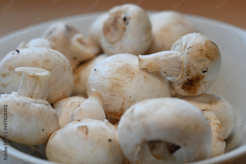 rustic White organic Mushrooms. plant based cooking ingredients. vegan and vegetarian cuisine. food prep rustic White organic Mushrooms. plant based cooking ingredients. vegan and vegetarian cuisine. food prep