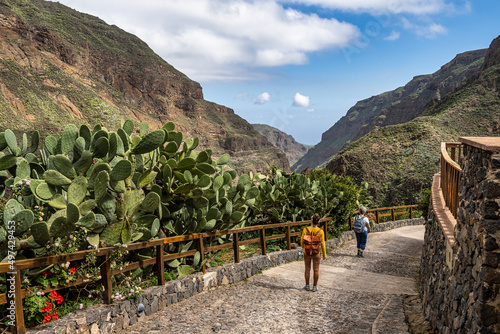 Amazing View on Barranco de Guayadeque, Gran Canaria, Canary Island, Spain, Europe photo