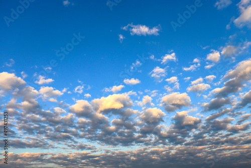 Altocumulus floccus clouds in the blue sky photo