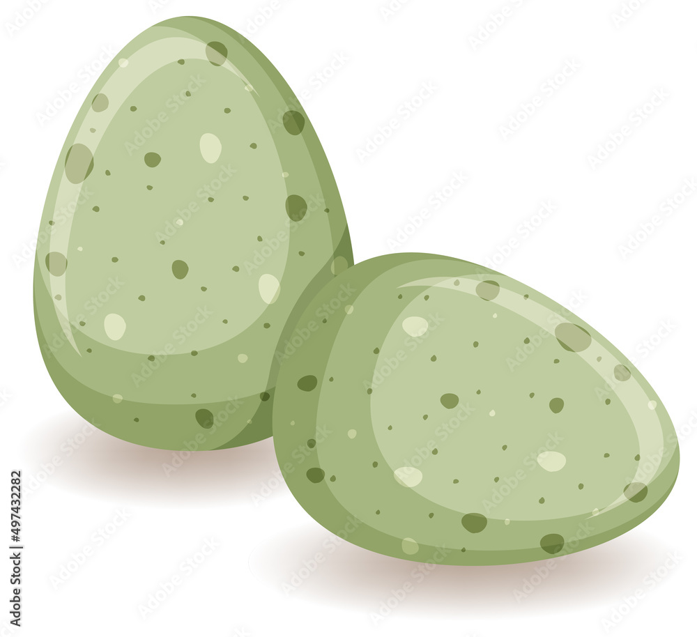 Two green eggs on white background Two green eggs on white background