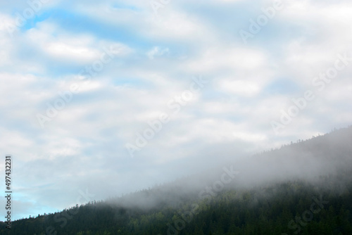Mountain landscape with spruce forest against the background of blue forest. Birds are flying over the mountains.