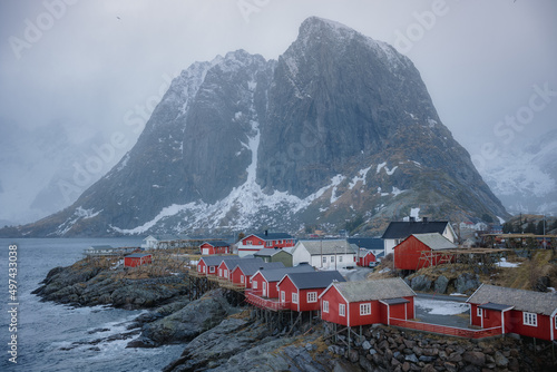View of beautiful red cabins of Norway in a fjord (ID: 497433038)