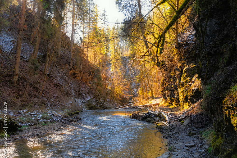 river in autumn