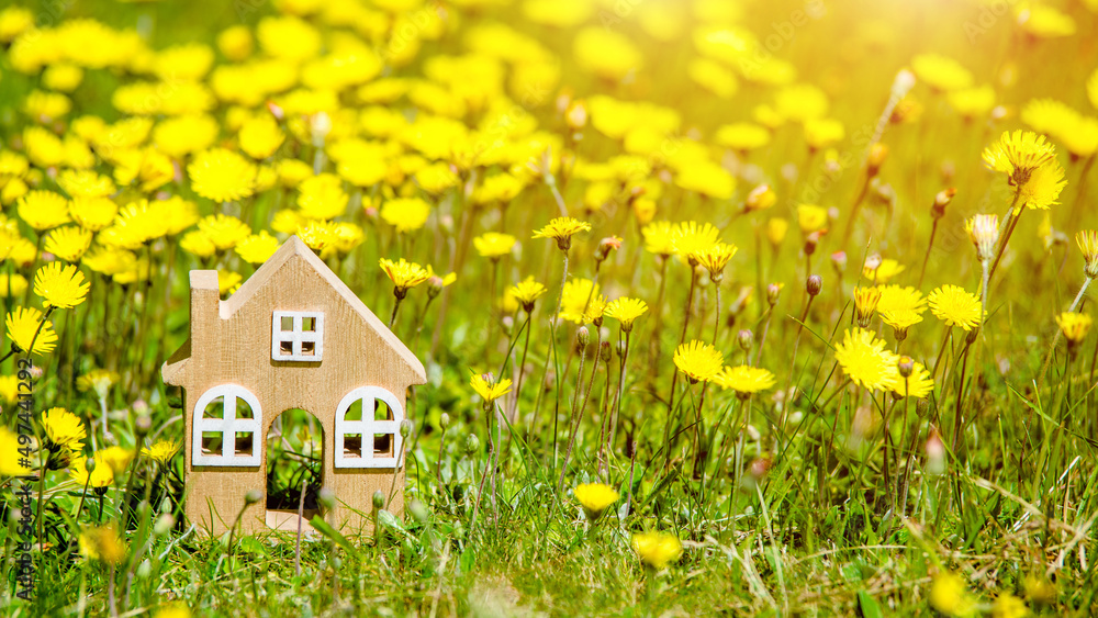 The symbol of the house stands among the yellow dandelions
The symbol of the house stands among the yellow dandelions