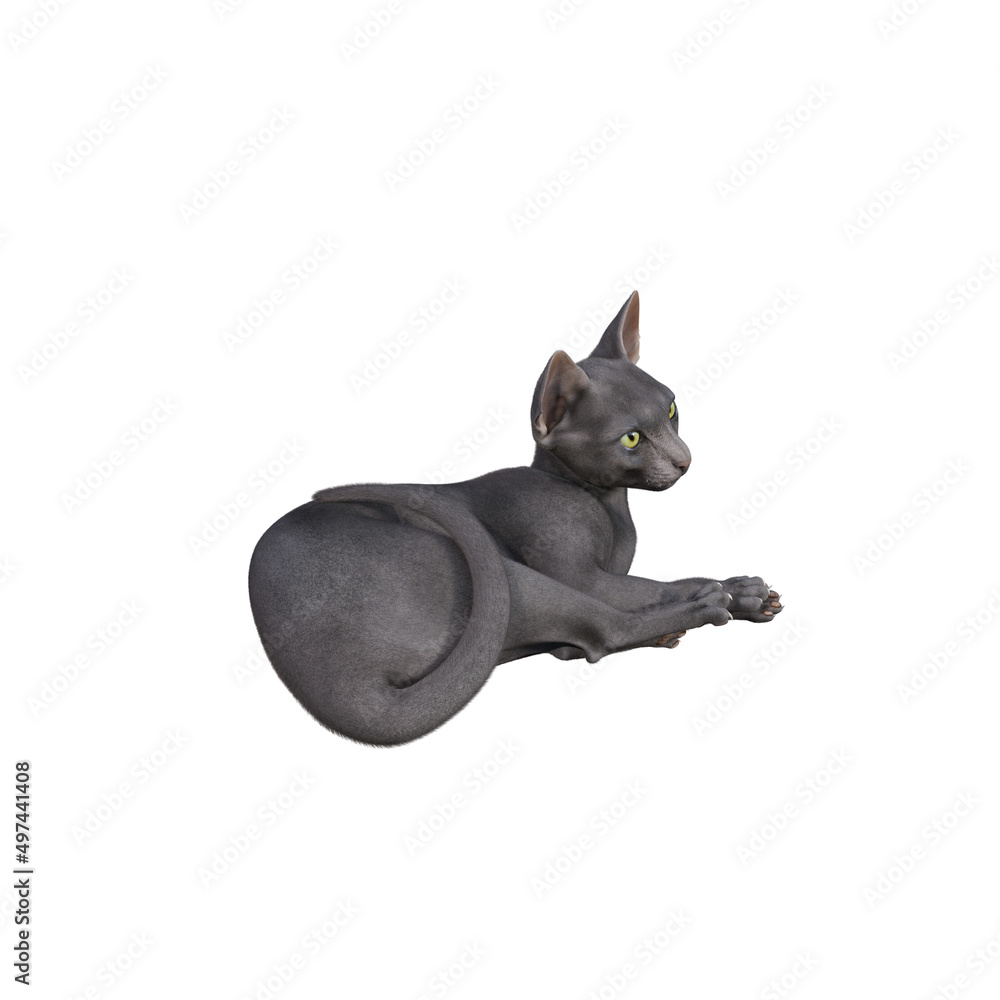 Sphynx cat isolated on white background. 3d rendering-illustration. Sphynx cat isolated on white background. 3d rendering-illustration.