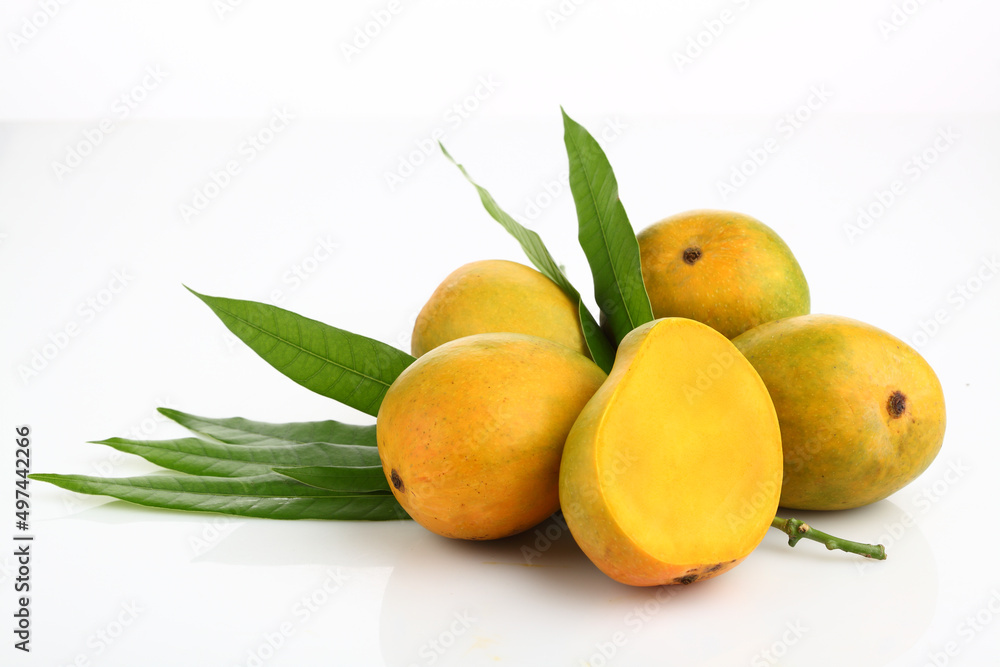 King of fruits; Alphonso Mango fruit with green leaf isolated on white background
