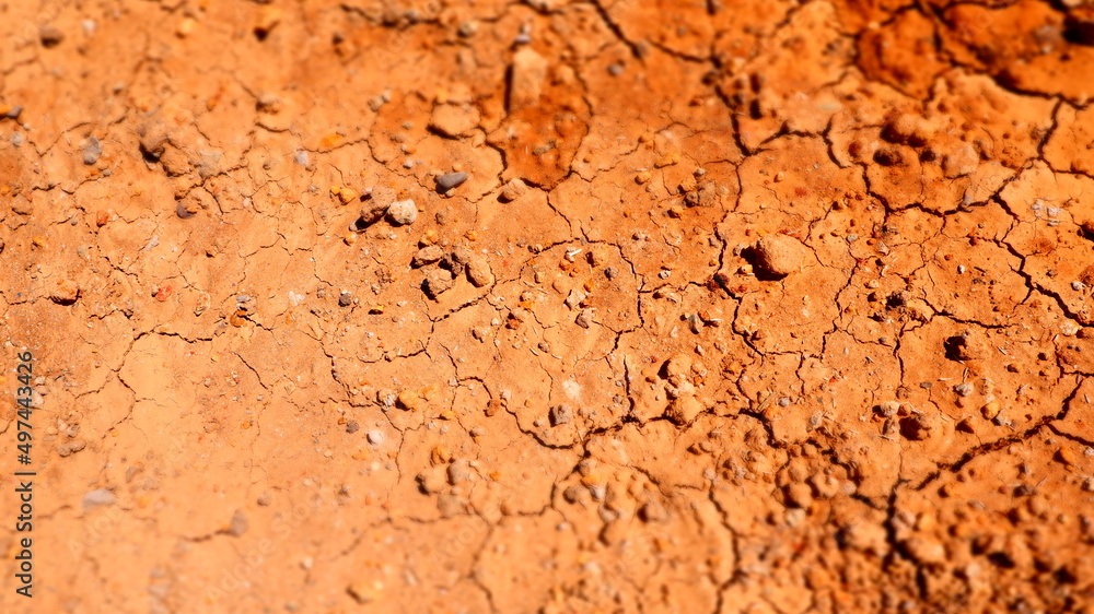 Drought problem. Effects of global warming. Drought problem. Effects of global warming.