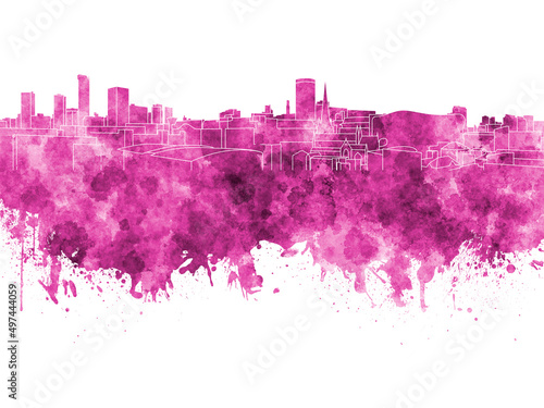 Birmingham skyline in pink watercolor on white background