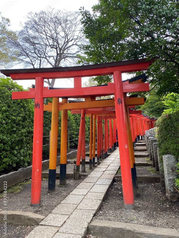 red shrine gates at Nezu Shrine, Tokyo Japan , spring 2022 red shrine gates at Nezu Shrine, Tokyo Japan , spring 2022