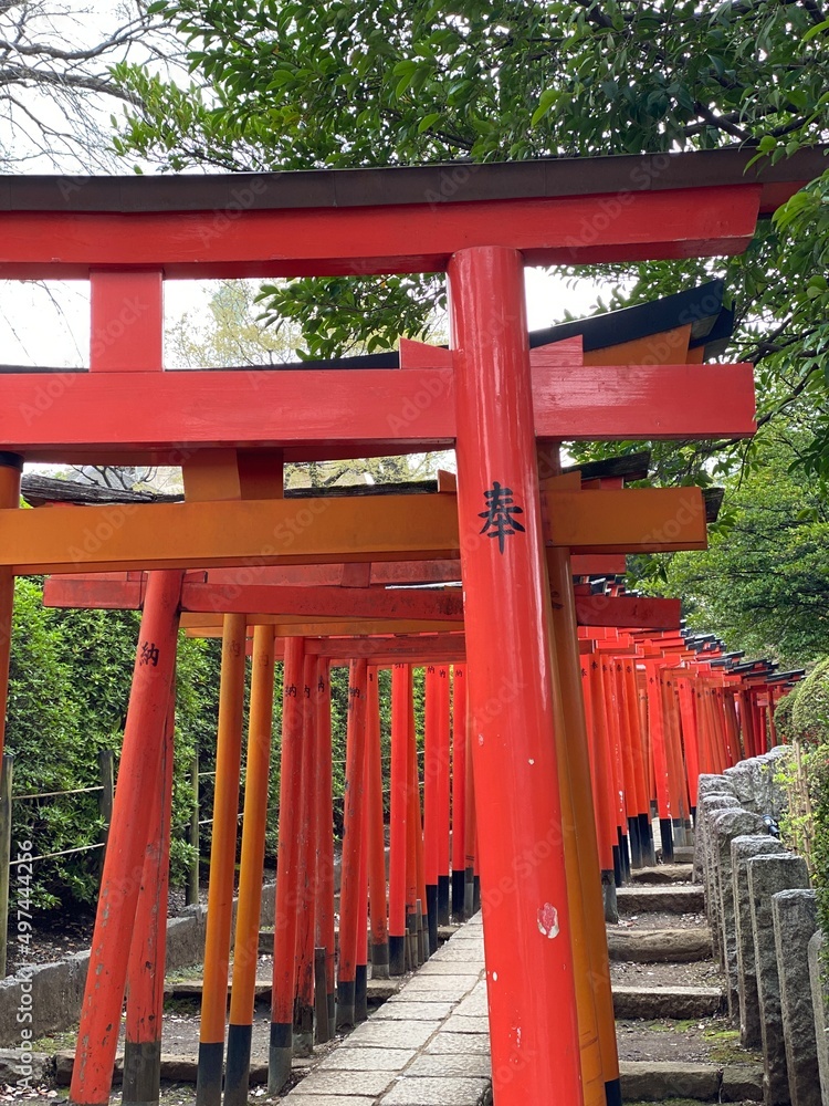 red shrine gates at Nezu Shrine, Tokyo Japan , spring 2022 red shrine gates at Nezu Shrine, Tokyo Japan , spring 2022