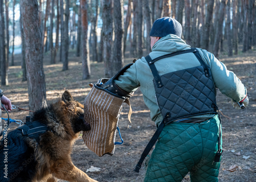 German shepherd clothing for adults cheap