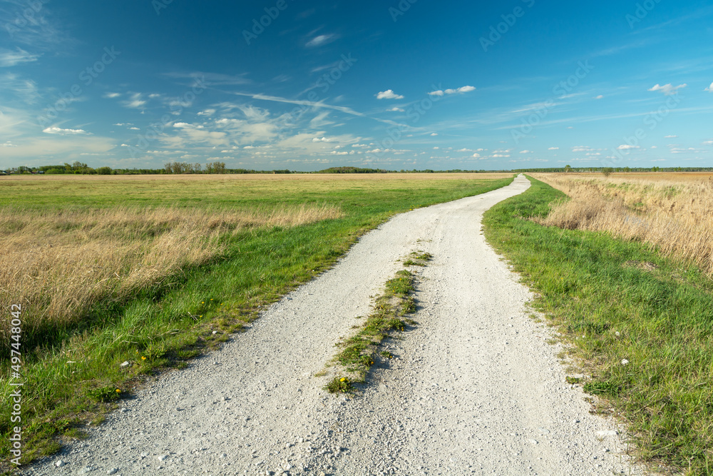 A gravel road through wild meadows and clear skies, Gotowka, Poland A gravel road through wild meadows and clear skies, Gotowka, Poland
