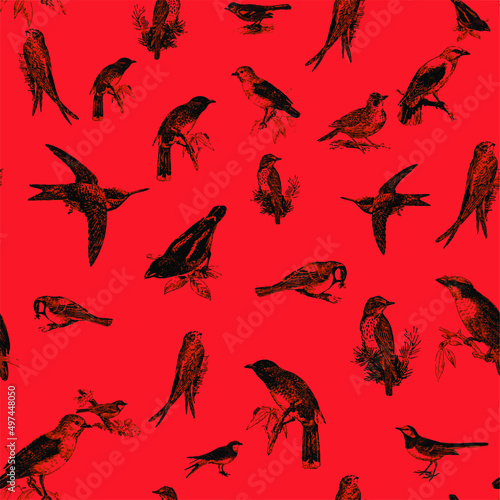 Seamless pattern with floral romantic elements, for your design. Endless texture, sketch humming-birds, watercolor flowers, isolated Vector illustration.