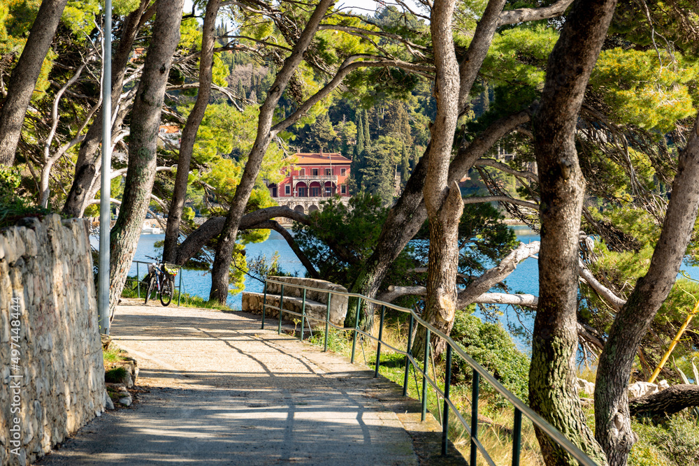 Path along the sea coast. Cavtat, Croatia Path along the sea coast. Cavtat, Croatia