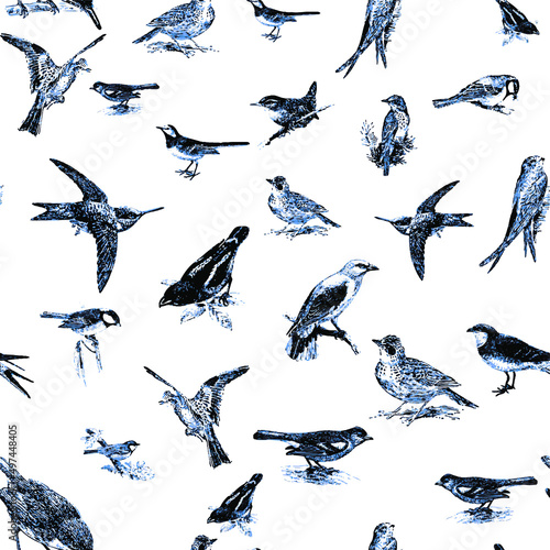 Seamless pattern with floral romantic elements, for your design. Endless texture, sketch humming-birds, watercolor flowers, isolated Vector illustration.