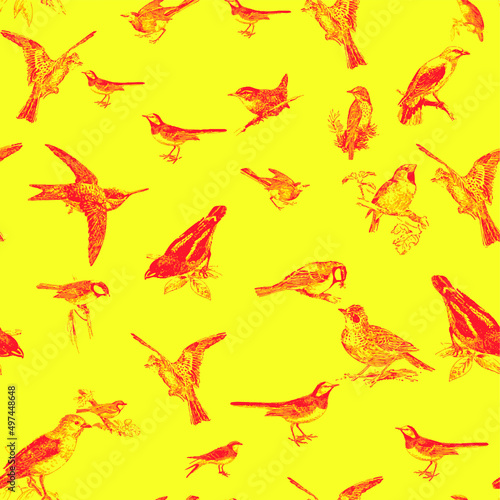 Seamless pattern with floral romantic elements, for your design. Endless texture, sketch humming-birds, watercolor flowers, isolated Vector illustration.
