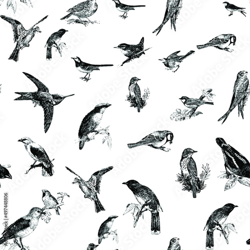 Seamless pattern with floral romantic elements, for your design. Endless texture, sketch humming-birds, watercolor flowers, isolated Vector illustration.
