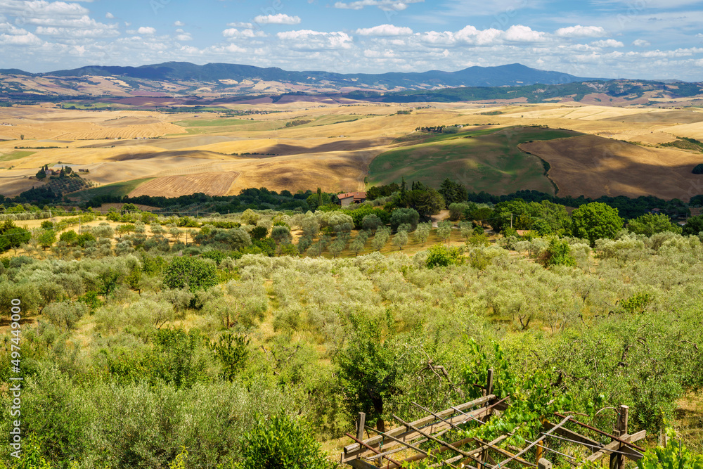 Rural landscape from Castiglione, Siena, Tuscany