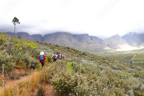 A distant group of hikers on a trail in the mountains of Slanghoek, South Africa. photo