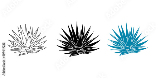 Agave blue set plant in flat style. Vector illustration isolated on white background. Agave syrup for making tequila. Mexican silhouette succulent hand drawn.