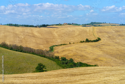 Rural landscape near Asciano  Tuscany  Italy