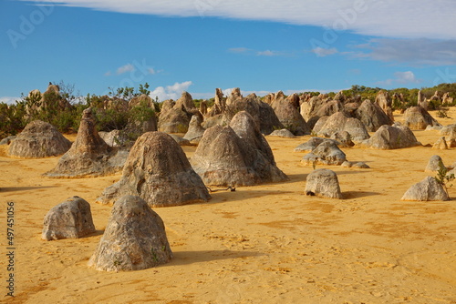 Pinnacles Desert in Western Australia