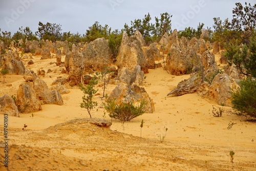 Pinnacles Desert in Western Australia