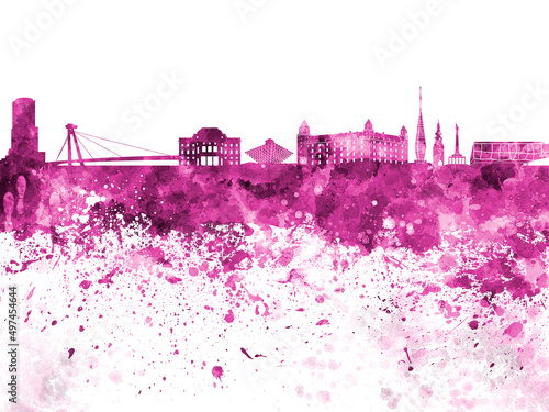 Canvas Print Bratislava skyline in watercolor on white background