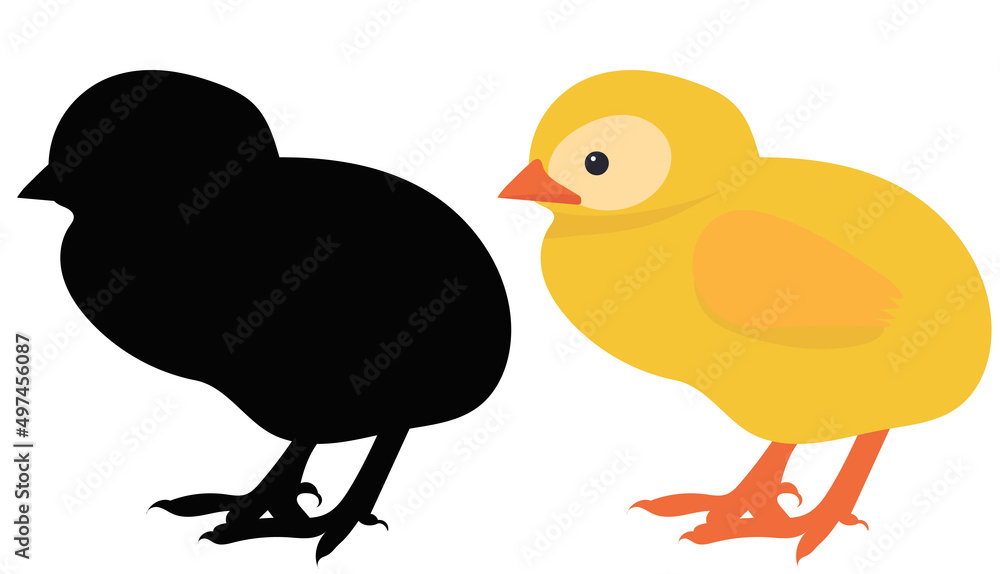 chick flat design, silhouette, isolated, vector chick flat design, silhouette, isolated, vector