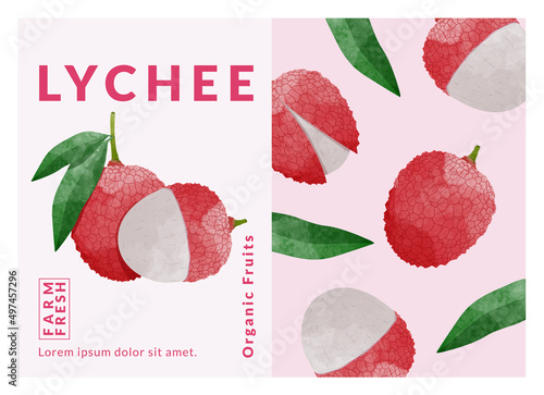 Lychee fruit packaging design templates, watercolour style vector illustration. photo