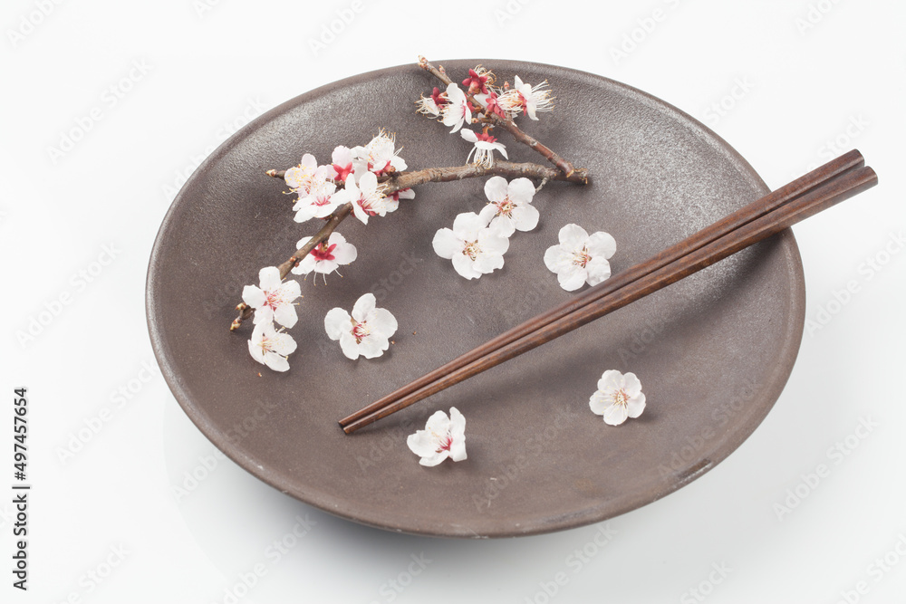 flowers, seasons, spring, flowers, seasons, spring,