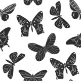 Butterfly insect isolated vector illustration. Black and white seamless pattern template. Simple graphic outline drawing. Doodle fly animal icon set.