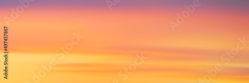 Panoramic sunset sky, natural background, vector illustration, gradient mesh. © Valerii