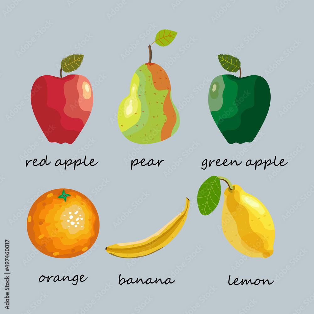 fruit set with names, vector illustration of a set of fresh fruits made