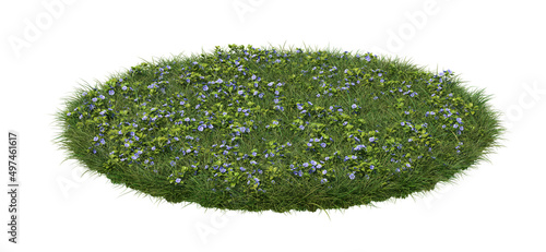 A round patch of grass full of veronica flowers, isolated on white background. 3d image photo