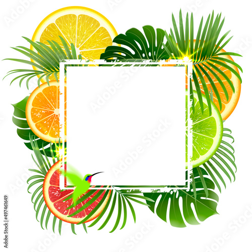 White Banner on a Background of Tropical Plants and Citrus Fruits