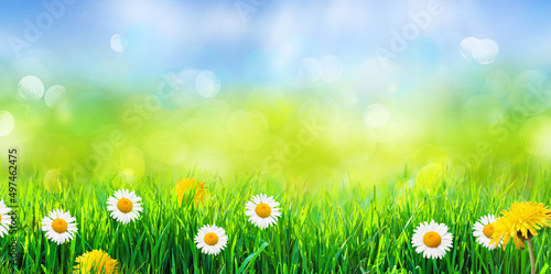 green grass with spring flowers on abstract background