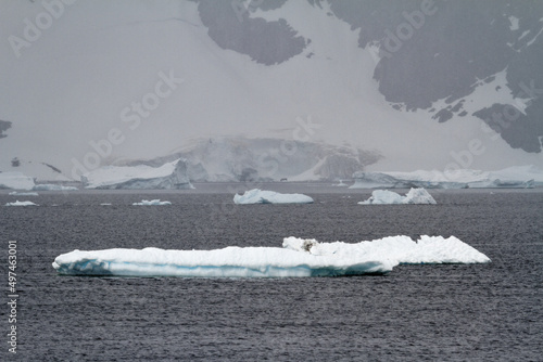 Antarctica - Non Tabular Iceberg - Global warming