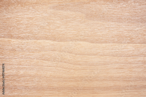 Natural wood texture background. copy spice