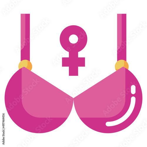 BRA flat icon,linear,outline,graphic,illustration